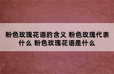 粉色玫瑰花语的含义 粉色玫瑰代表什么 粉色玫瑰花语是什么